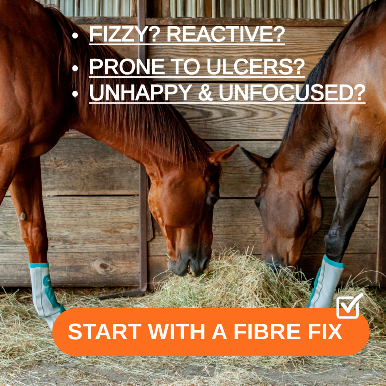 How To Fix A Fizzy, Reactive, Stressed Horse Fast.