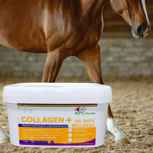 Collagen Plus | Collagen For Horses | Support For Compromised Horses 2 Collagen For Horses To Support Wellness And General Well -Being If Older, Compromised, Sick, Injured Or In Need Of Extra Joint Support.