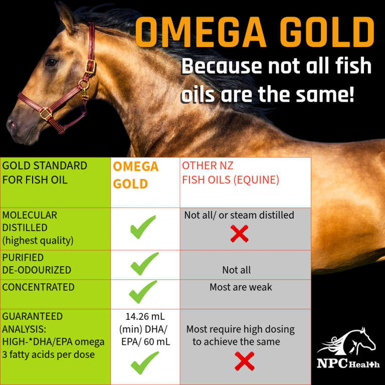 Fish Oil Comparison Chart Showing What To Look For In An Omega 3 Supplement For Horses And Dogs.
