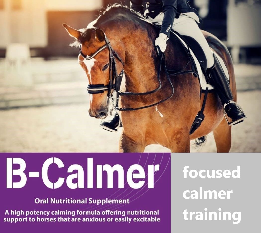 Horse calming supplements that work Calm and relax quickly