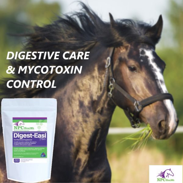 Grass affected horses benefit from Digest-easi PLUS for digestive care, gut health and assisting with mycotoxin control.