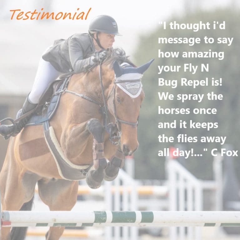 Best natural fly repellent for horses NZ keeps flies off