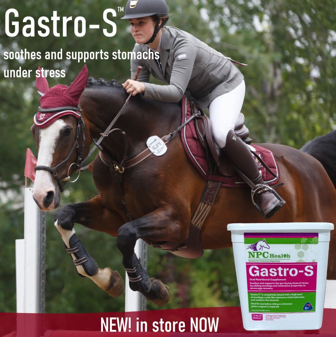 Horse Health and Supplies. Equine Supplements. Made in NZ.