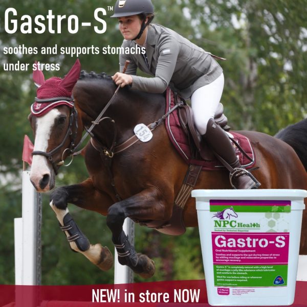 Ulcer support for horses. Helps to coat the stomach for better gut health.