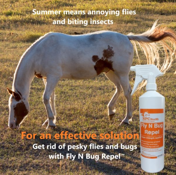 Horse and fly repellent ad with spray 2.
