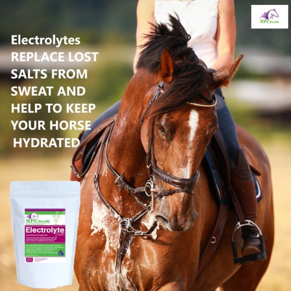 Horse And Sweating Advert