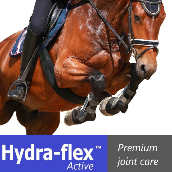 Hydra-flex 2911