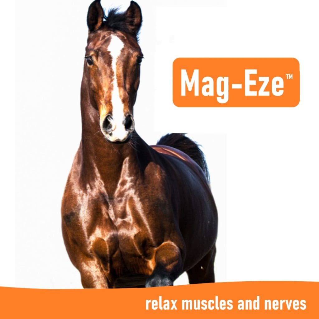 Magnesium for horses Calming Grass affected horses nz