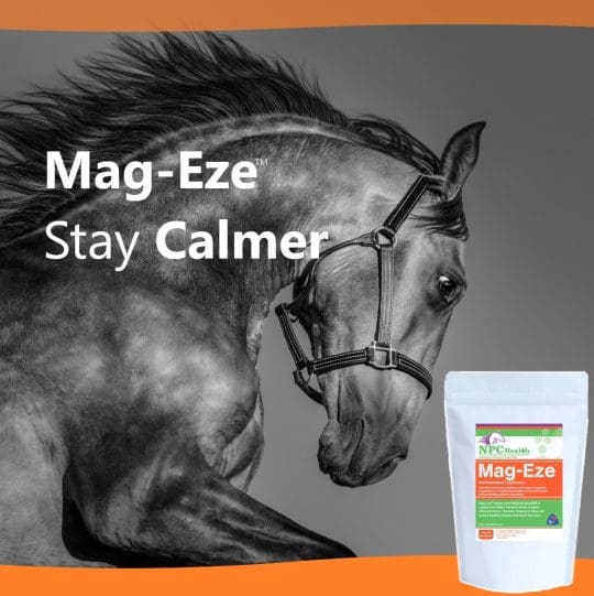 Magnesium for horses Supplements to calm your equine NZ
