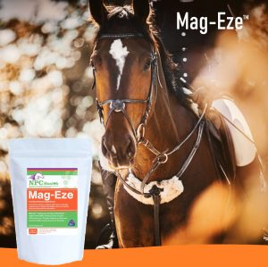 Magnesium for horses.