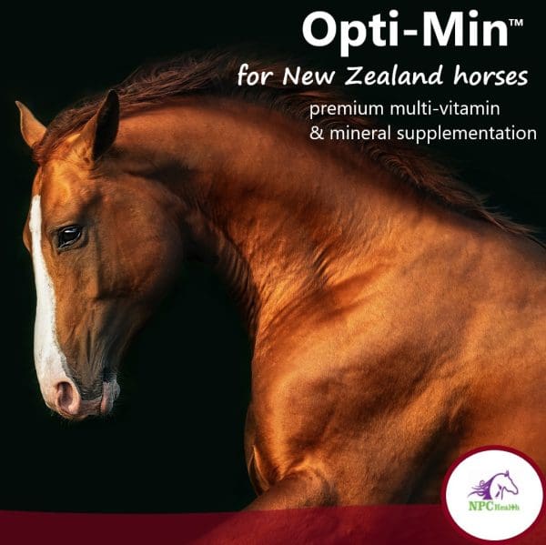 Best horse minerals NZ Vitamins Balanced Nutrition
