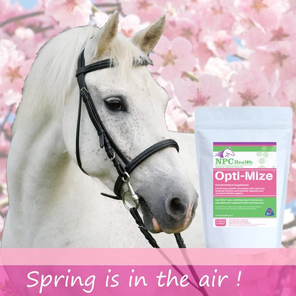 Spring post 1