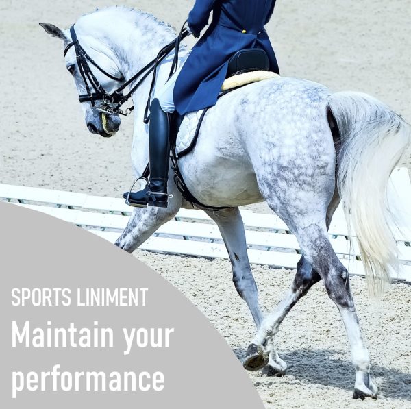 horse dressage facebook