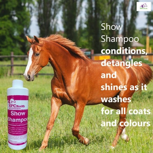 Natural grooming Horse and dog Shampoo Soft shiny coats
