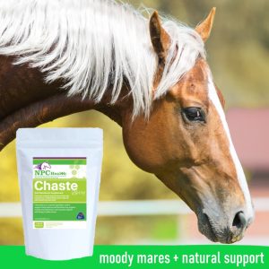 Chaste Berry natural horse supplement for hormonal balance and naturally helping metabolic issues in horses.