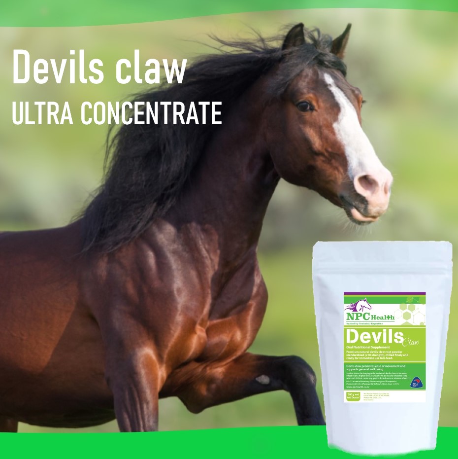 Devils claw (concentrate) powder for movement ease in horses
